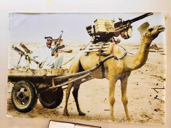 Dammam Day Tour photo 4